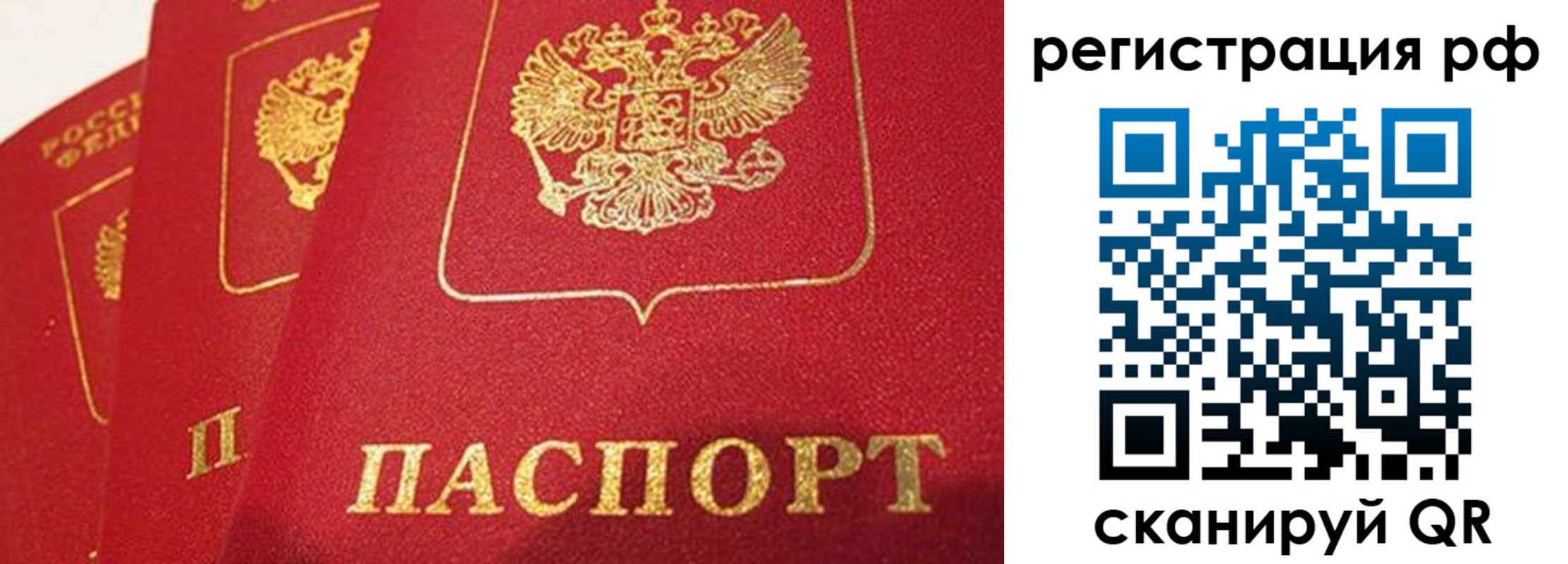 прописка поиск в Россоши